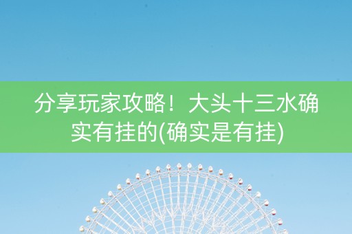 分享玩家攻略！大头十三水确实有挂的(确实是有挂)