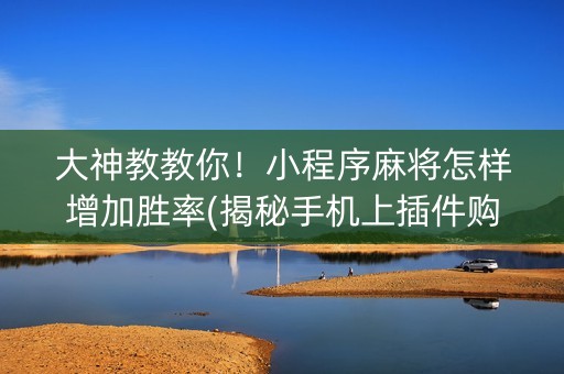 大神教教你！小程序麻将怎样增加胜率(揭秘手机上插件购买)