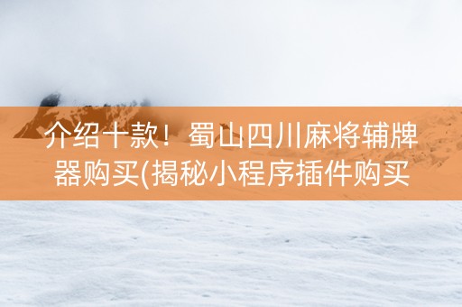 介绍十款！蜀山四川麻将辅牌器购买(揭秘小程序插件购买)