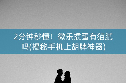 2分钟秒懂！微乐掼蛋有猫腻吗(揭秘手机上胡牌神器)