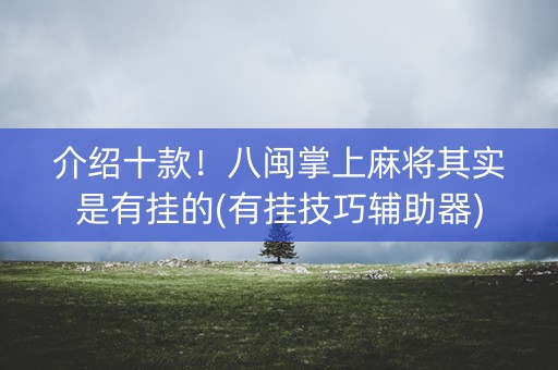 介绍十款！八闽掌上麻将其实是有挂的(有挂技巧辅助器)