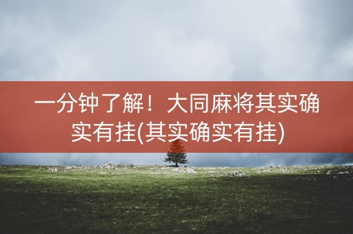 一分钟了解！大同麻将其实确实有挂(其实确实有挂)