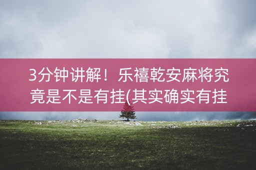 3分钟讲解！乐禧乾安麻将究竟是不是有挂(其实确实有挂)