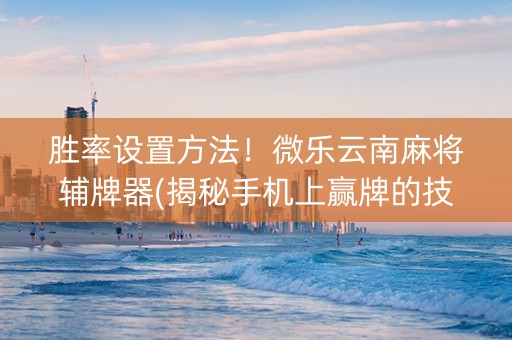 胜率设置方法！微乐云南麻将辅牌器(揭秘手机上赢牌的技巧)