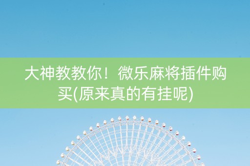 大神教教你！微乐麻将插件购买(原来真的有挂呢)