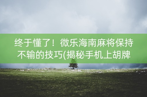 终于懂了！微乐海南麻将保持不输的技巧(揭秘手机上胡牌技巧)