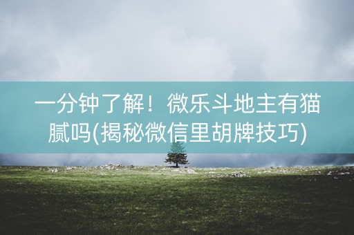 一分钟了解！微乐斗地主有猫腻吗(揭秘微信里胡牌技巧)