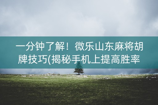 一分钟了解！微乐山东麻将胡牌技巧(揭秘手机上提高胜率)