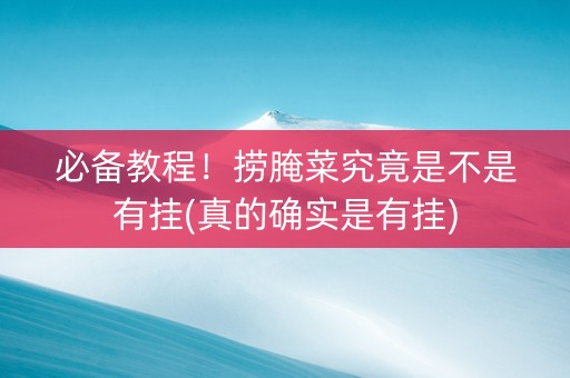 必备教程！捞腌菜究竟是不是有挂(真的确实是有挂)