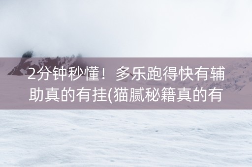 2分钟秒懂！多乐跑得快有辅助真的有挂(猫腻秘籍真的有挂)
