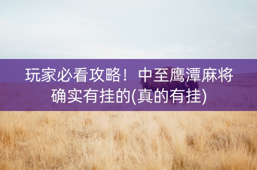 玩家必看攻略！中至鹰潭麻将确实有挂的(真的有挂)