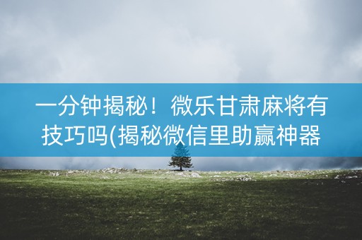 一分钟揭秘！微乐甘肃麻将有技巧吗(揭秘微信里助赢神器)
