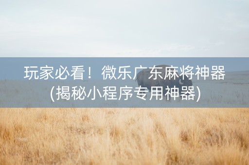 玩家必看！微乐广东麻将神器(揭秘小程序专用神器)