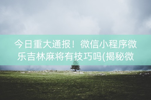 今日重大通报！微信小程序微乐吉林麻将有技巧吗(揭秘微信里插件下载)