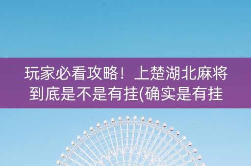 玩家必看攻略！上楚湖北麻将到底是不是有挂(确实是有挂的)