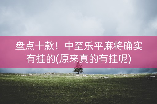 盘点十款！中至乐平麻将确实有挂的(原来真的有挂呢)