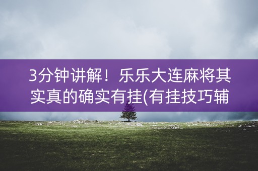 3分钟讲解！乐乐大连麻将其实真的确实有挂(有挂技巧辅助器)