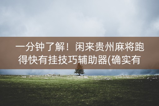 一分钟了解！闲来贵州麻将跑得快有挂技巧辅助器(确实有挂吗)