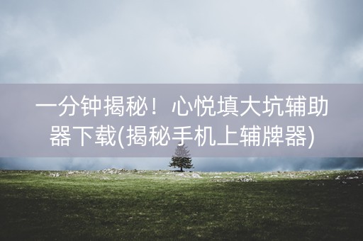 一分钟揭秘！心悦填大坑辅助器下载(揭秘手机上辅牌器)