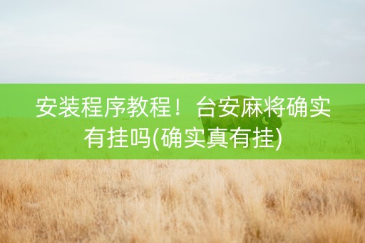 安装程序教程！台安麻将确实有挂吗(确实真有挂)