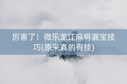 厉害了！微乐龙江麻将漏宝技巧(原来真的有挂)