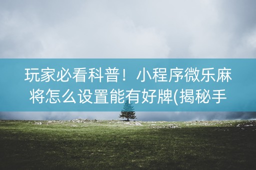 玩家必看科普！小程序微乐麻将怎么设置能有好牌(揭秘手机上规律攻略)