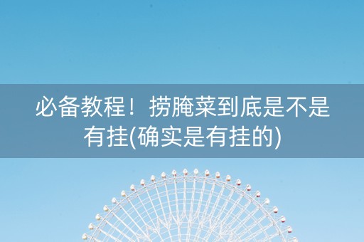 必备教程！捞腌菜到底是不是有挂(确实是有挂的)