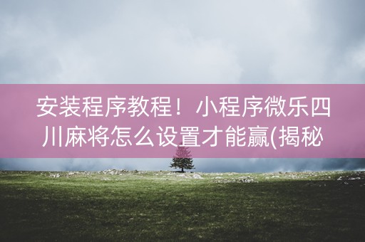 安装程序教程！小程序微乐四川麻将怎么设置才能赢(揭秘手机上助赢神器)