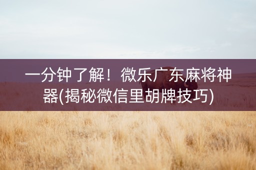 一分钟了解！微乐广东麻将神器(揭秘微信里胡牌技巧)