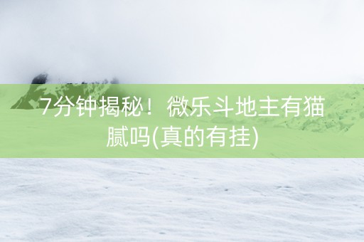 7分钟揭秘！微乐斗地主有猫腻吗(真的有挂)
