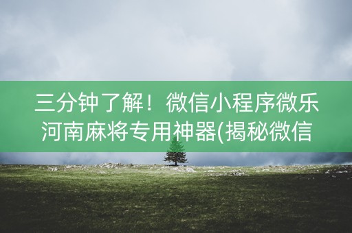 三分钟了解！微信小程序微乐河南麻将专用神器(揭秘微信里胡牌神器)