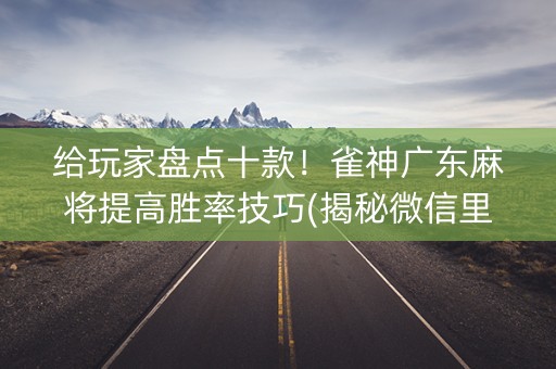 给玩家盘点十款！雀神广东麻将提高胜率技巧(揭秘微信里专用神器下载)