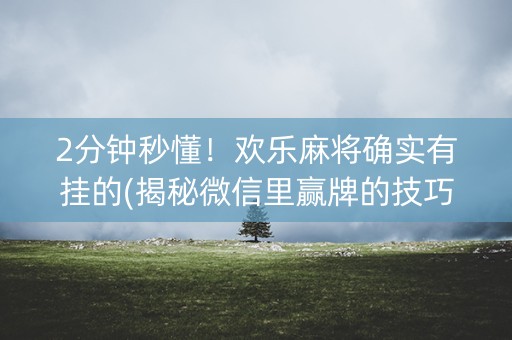 2分钟秒懂！欢乐麻将确实有挂的(揭秘微信里赢牌的技巧)
