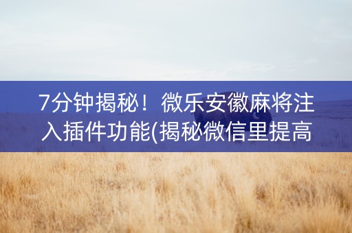 7分钟揭秘！微乐安徽麻将注入插件功能(揭秘微信里提高胜率)