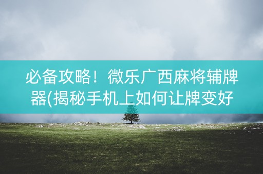 必备攻略！微乐广西麻将辅牌器(揭秘手机上如何让牌变好)