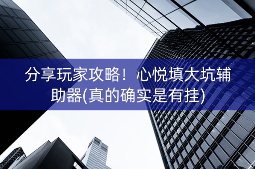 分享玩家攻略！心悦填大坑辅助器(真的确实是有挂)