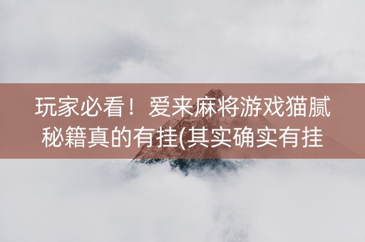 玩家必看！爱来麻将游戏猫腻秘籍真的有挂(其实确实有挂)