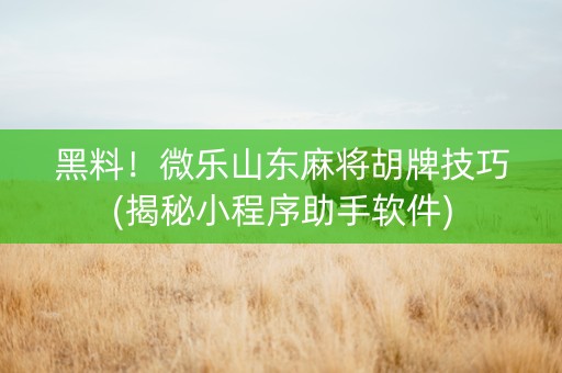 黑料！微乐山东麻将胡牌技巧(揭秘小程序助手软件)