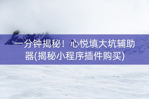 一分钟揭秘！心悦填大坑辅助器(揭秘小程序插件购买)