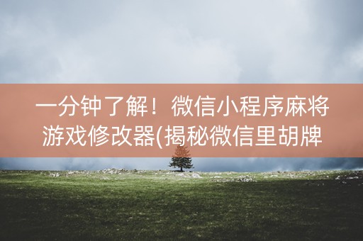 一分钟了解！微信小程序麻将游戏修改器(揭秘微信里胡牌神器)