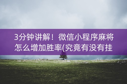 3分钟讲解！微信小程序麻将怎么增加胜率(究竟有没有挂)