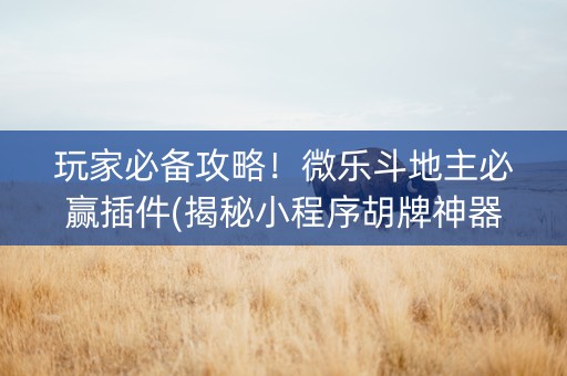 玩家必备攻略！微乐斗地主必赢插件(揭秘小程序胡牌神器)