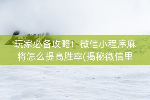 玩家必备攻略！微信小程序麻将怎么提高胜率(揭秘微信里插件下载)