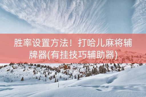 胜率设置方法！打哈儿麻将辅牌器(有挂技巧辅助器)