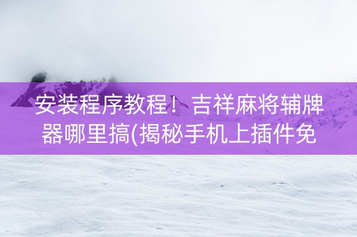 安装程序教程！吉祥麻将辅牌器哪里搞(揭秘手机上插件免费)