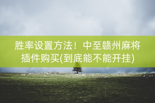 胜率设置方法！中至赣州麻将插件购买(到底能不能开挂)