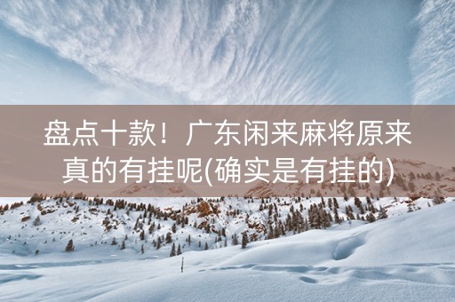 盘点十款！广东闲来麻将原来真的有挂呢(确实是有挂的)