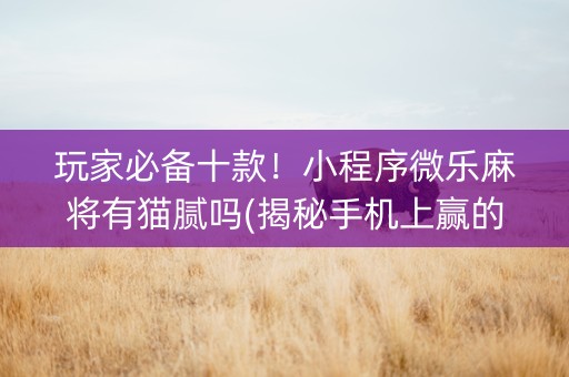 玩家必备十款！小程序微乐麻将有猫腻吗(揭秘手机上赢的诀窍)