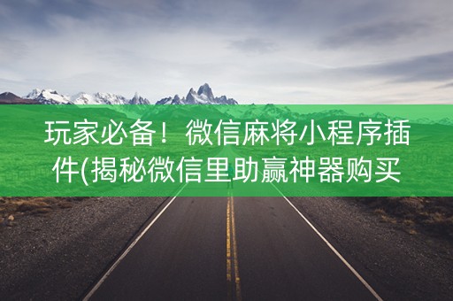 玩家必备！微信麻将小程序插件(揭秘微信里助赢神器购买)
