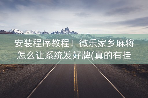 安装程序教程！微乐家乡麻将怎么让系统发好牌(真的有挂)